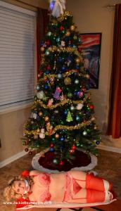 www.maladaptivebehavior.com - 123 Christmas 2015 photos thumbnail